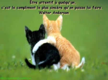 rien à dire