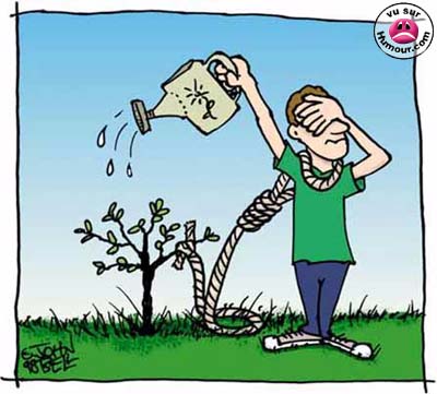 suicide