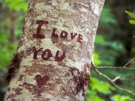 love yaaa